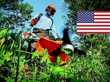 La visa que necesitas para trabajar como jardinero en Estados Unidos