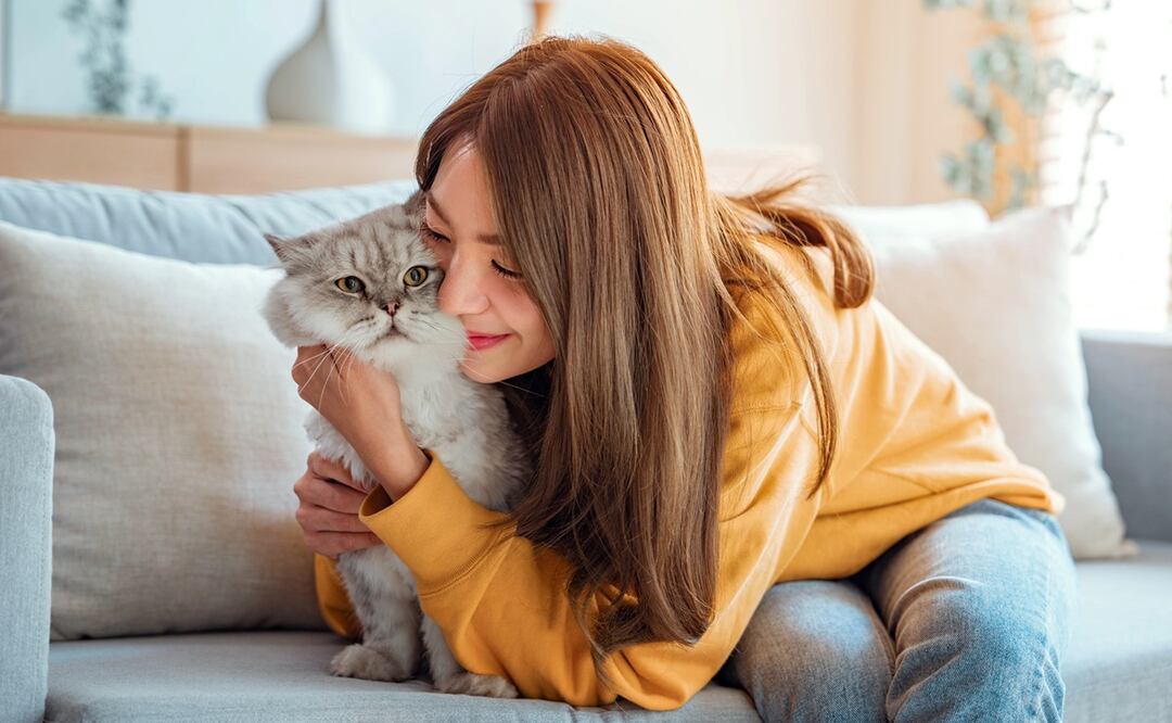 Tener un gato como mascota aumenta las posibilidades de desarrollar esquizofrenia, dice investigación. Foto:  iStock-oatawa