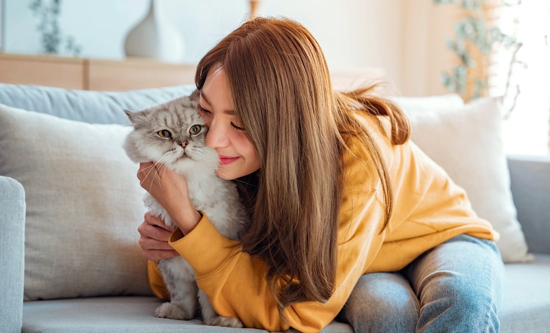 Tener un gato como mascota aumenta las posibilidades de desarrollar esquizofrenia, dice investigación. Foto:  iStock-oatawa