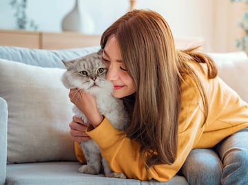 Tener un gato como mascota aumenta las posibilidades de desarrollar esquizofrenia, dice investigación