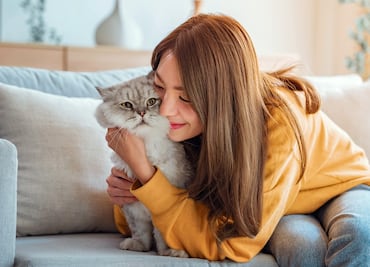 Tener un gato como mascota aumenta las posibilidades de desarrollar esquizofrenia, dice investigación