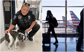 Viajero abandona a su perro en aeropuerto de Pensilvania porque “no podía subirlo al avión”