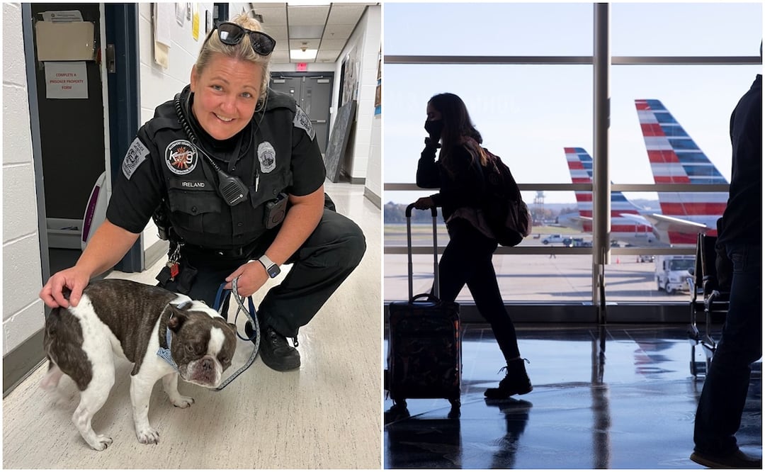 Viajero abandona a su perro en aeropuerto porque “no podía subirlo al avión”. Foto: Facebookl/EFE