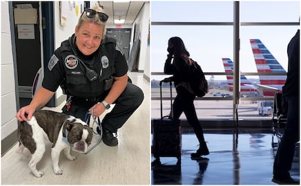Viajero abandona a su perro en aeropuerto de Pensilvania porque “no podía subirlo al avión”