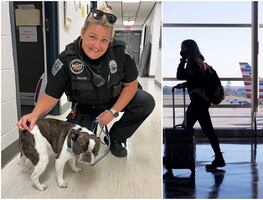 Viajero abandona a su perro en aeropuerto de Pensilvania porque “no podía subirlo al avión”