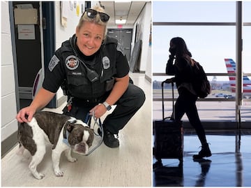 Viajero abandona a su perro en aeropuerto de Pensilvania porque “no podía subirlo al avión”