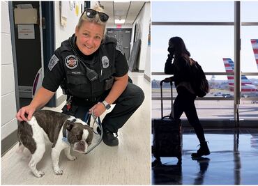 Viajero abandona a su perro en aeropuerto de Pensilvania porque “no podía subirlo al avión”