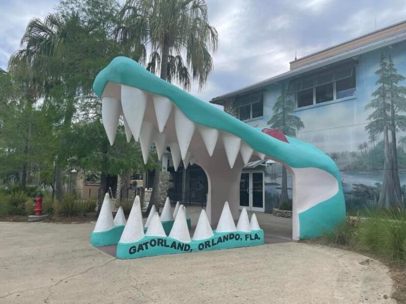 De alimentar cocodrilos a tirolesas "infinitas": la aventura en Gatorland Orlando