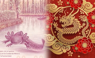 Así es el billete del año del dragón que le podría quitar la popularidad al billete del ajolote