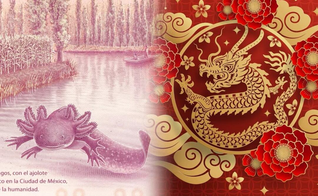 Así es el billete del año del dragón que le podría quitar la popularidad al billete del ajolote. Foto: iSTOCK-AmericanWildlife-panya injad