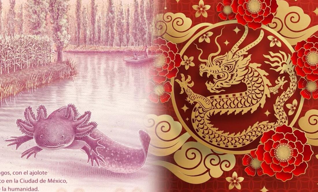 Así es el billete del año del dragón que le podría quitar la popularidad al billete del ajolote. Foto: iSTOCK-AmericanWildlife-panya injad