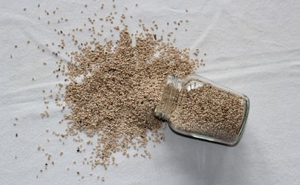 LA FDA advierte riesgo en linaza contaminada con salmonela