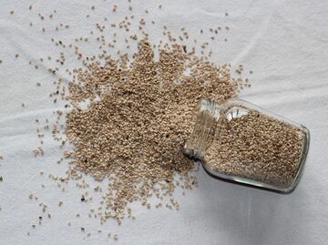 LA FDA advierte riesgo en linaza contaminada con salmonela