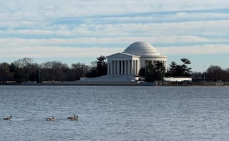 De museos a monumentos: Washington DC, la ciudad con más de 100 actividades gratuitas