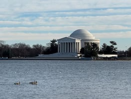De museos a monumentos: Washington DC, la ciudad con más de 100 actividades gratuitas