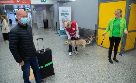 Covid-19. Perros detectarán a viajeros infectados en Finlandia