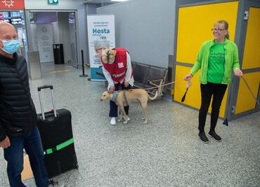 Covid-19. Perros detectarán a viajeros infectados en Finlandia