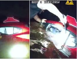 Video. Policía rescata a mujer de auto que se hundía en canal de Florida