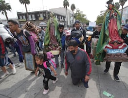 ¿Hay clases el 12 de diciembre por el Día de la Virgen de Guadalupe? Esto dice la SEP, UNAM e IPN