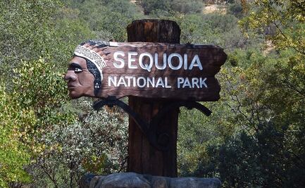 Hombre muere tras caer en acantilado del Parque Nacional Sequoia