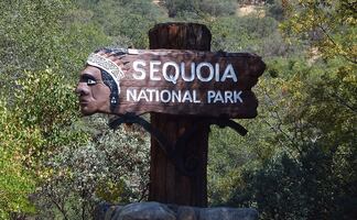 Hombre muere tras caer en acantilado del Parque Nacional Sequoia
