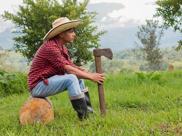 Empresarios advierten: "Escasez de mano de obra inmigrante amenaza la producción de EU"