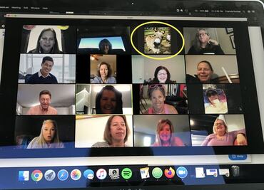 Granja de Carolina del Norte renta a sus animales para videoconferencias