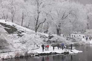 Nieve paraliza Nueva York: Tormenta interrumpe transportes y actividades. FOTOS