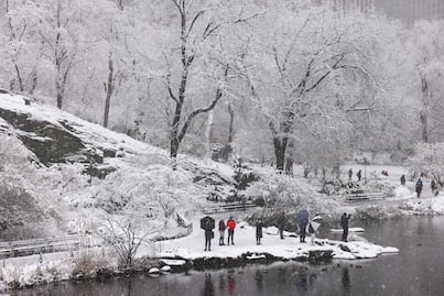 Nieve paraliza Nueva York: Tormenta interrumpe transportes y actividades. FOTOS