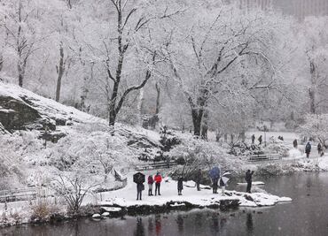 Nieve paraliza Nueva York: Tormenta interrumpe transportes y actividades. FOTOS