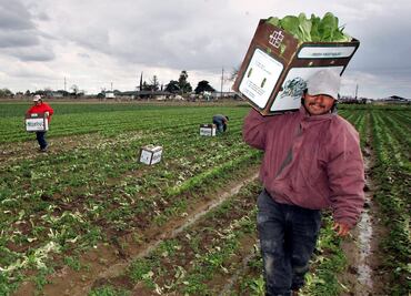 Piden agilizar visas de trabajo por escasez de mano de obra en Estados Unidos