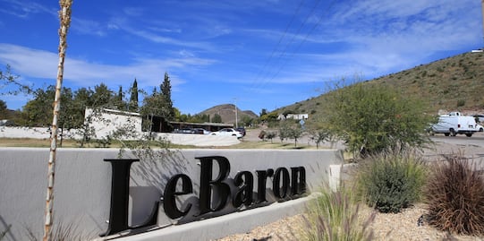 Familia LeBarón asegura que cárteles mexicanos son "peor que ISIS"