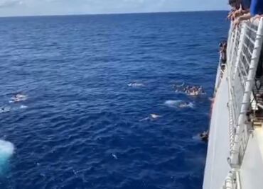 Video. Guardia Costera abre fuego contra tiburón en el Pacífico