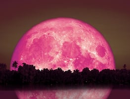 Luna llena de Fresa, lluvia de estrellas, solsticio de verano y más eventos imperdibles de junio