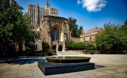 450 cursos gratuitos en línea que ofrecen las instituciones de la Ivy League 