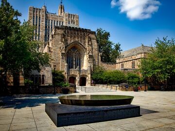 450 cursos gratuitos en línea que ofrecen las instituciones de la Ivy League