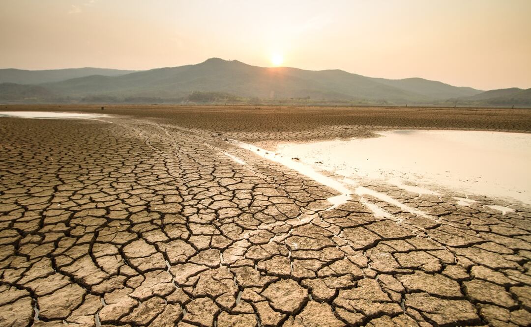 Alerta climática; El Niño persistirá en invierno con posibles efectos en cultivos y seguridad alimentaria. Foto: iStock-piyaset