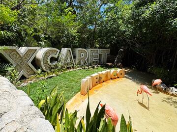 Experiencias que (quizá) no sabías que podías tener en Xcaret: Harán tu viaje único