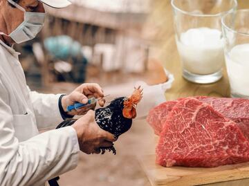 Experto de la FDA recomienda NO comer estos alimentos tras el brote de gripe aviar