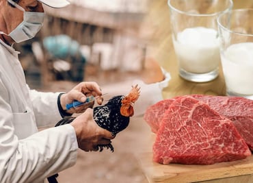 Experto de la FDA recomienda NO comer estos alimentos tras el brote de gripe aviar