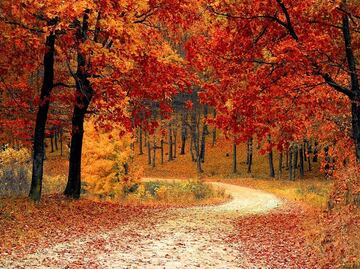 Los mejores paseos en auto para disfrutar del follaje otoñal en EU