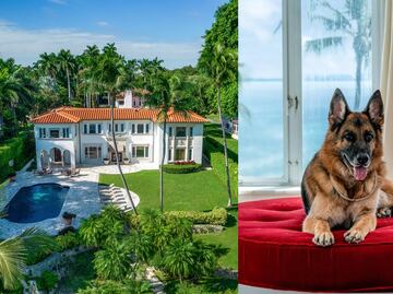 El perro más rico del mundo vende mansión en Miami por 32 millones de dólares