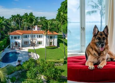El perro más rico del mundo vende mansión en Miami por 32 millones de dólares