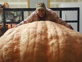 Hombre rompe récord con calabaza de más de 600 kilos en Wyoming