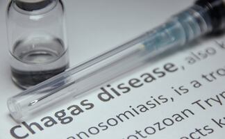 ¡Alerta máxima! Chagas se extiende por 32 estados de EU: la “chinche besadora” pone en riesgo a millones