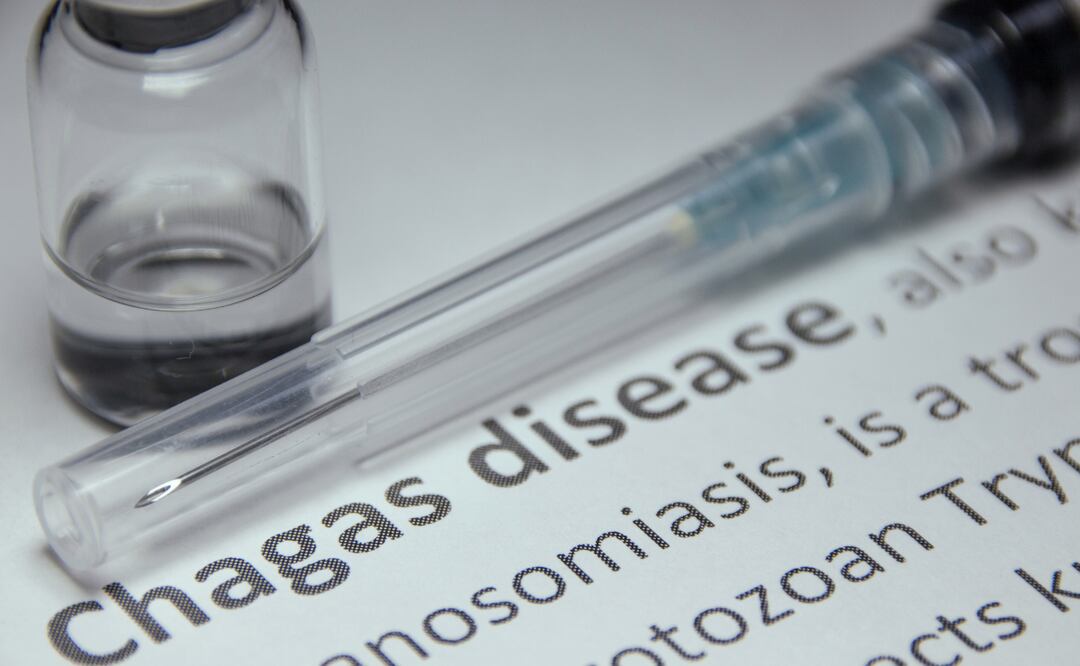 ¡Alerta máxima! Chagas se extiende por 32 estados de EU: la “chinche besadora” pone en riesgo a millones. Foto Canva