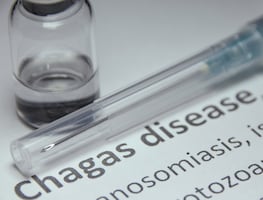 ¡Alerta máxima! Chagas se extiende por 32 estados de EU: la “chinche besadora” pone en riesgo a millones
