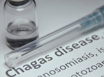 ¡Alerta máxima! Chagas se extiende por 32 estados de EU: la “chinche besadora” pone en riesgo a millones