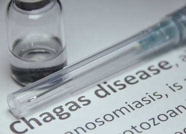 ¡Alerta máxima! Chagas se extiende por 32 estados de EU: la “chinche besadora” pone en riesgo a millones