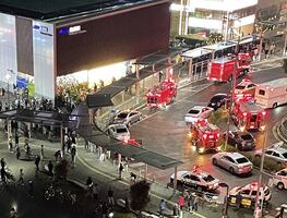 Admirador de Joker, hombre que apuñaló a personas en tren de Tokio